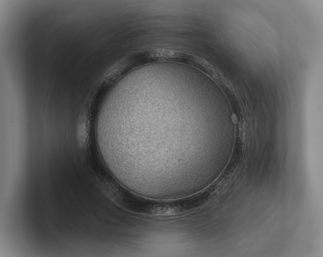 X0000102280735200808081502