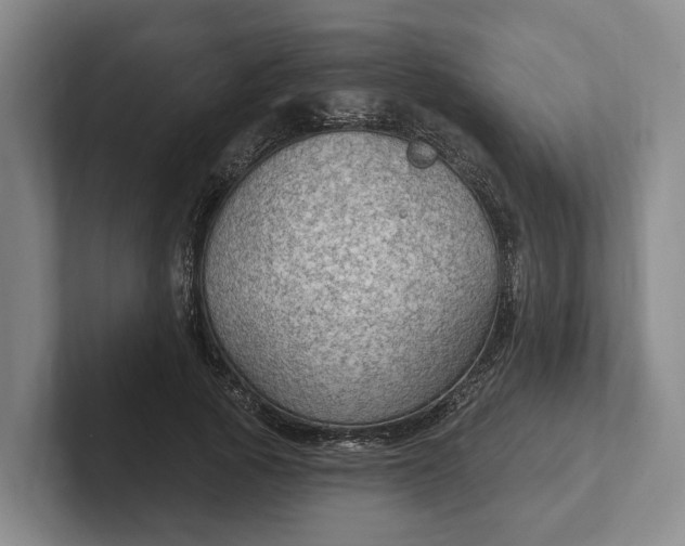 X0000102280737200808081502