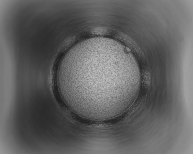 X0000102280738200808081502