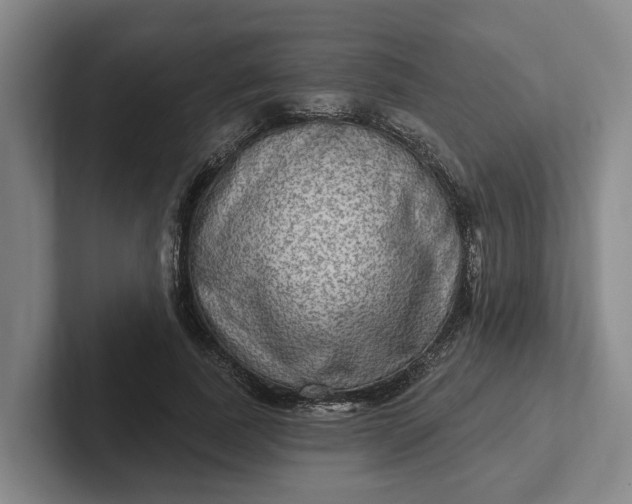 X0000102280739200808081502