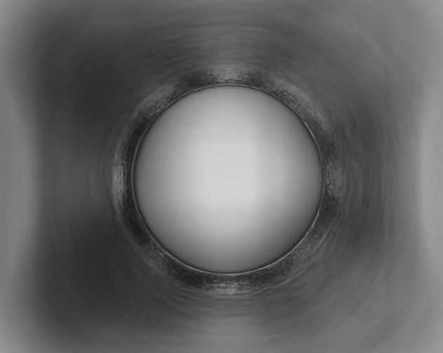 X0000102280740200808081502