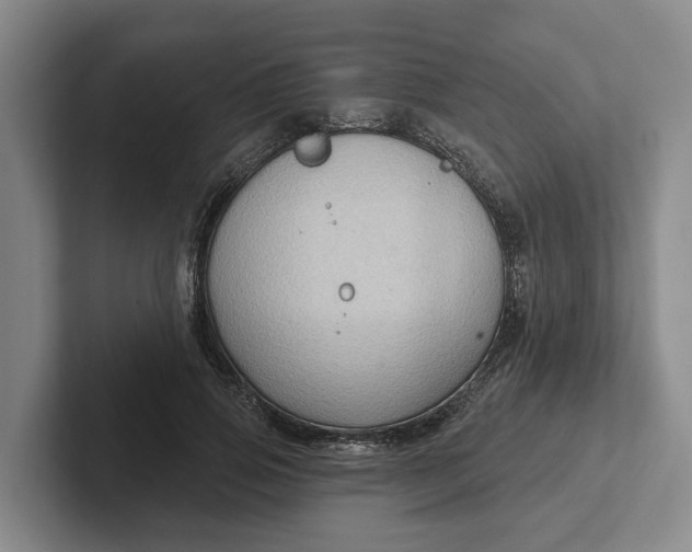 X0000102280741200808081502