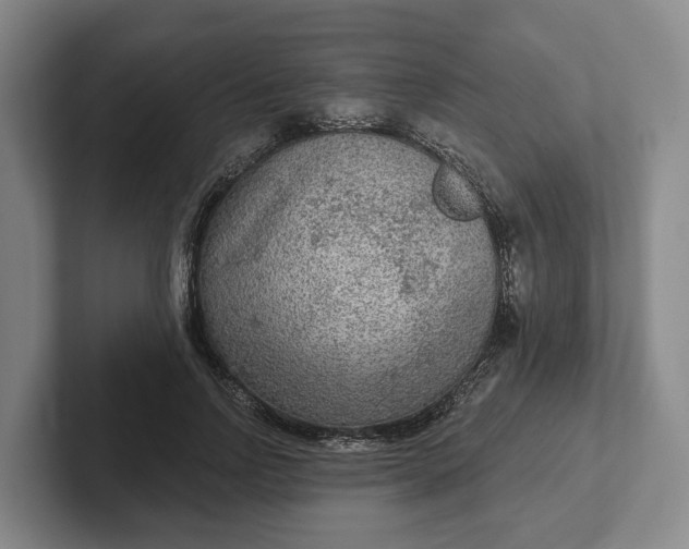 X0000102280742200808081502