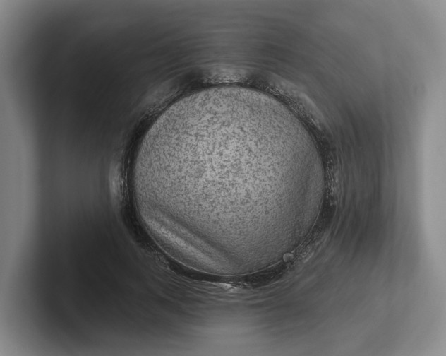 X0000102280743200808081502