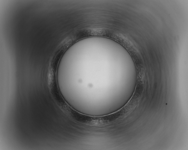 X0000102280744200808081502