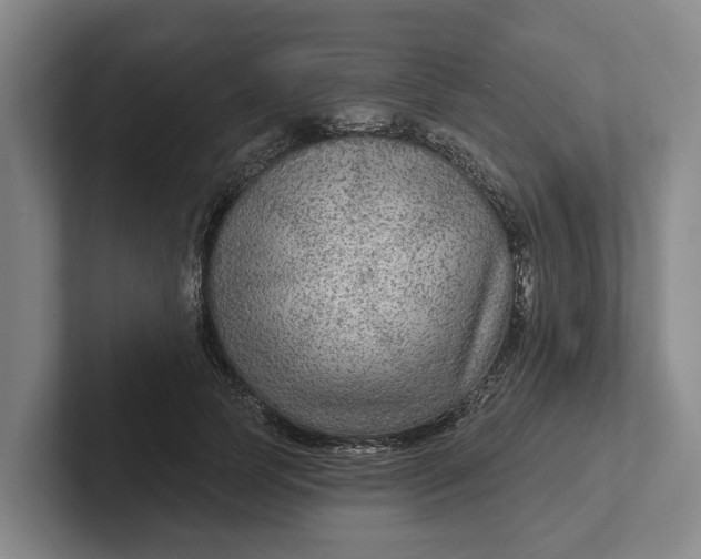 X0000102280745200808081502