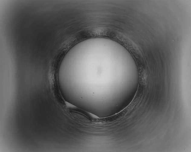 X0000102280746200808081502