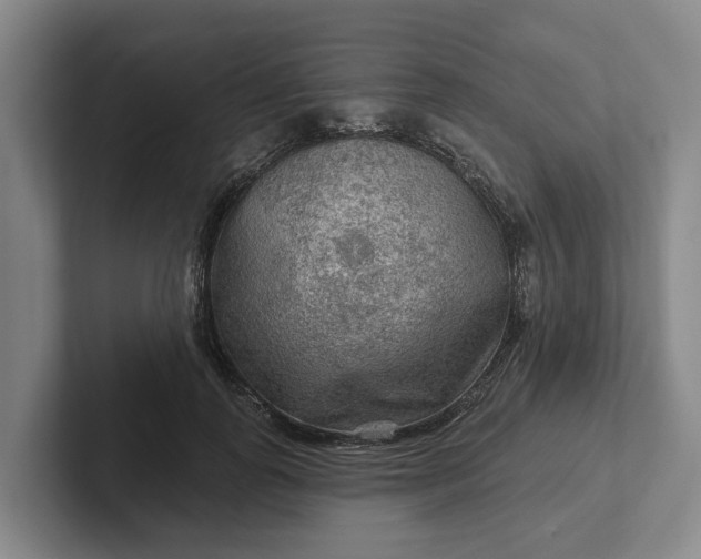 X0000102280747200808081502