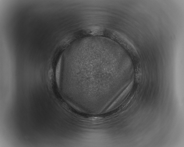 X0000102280748200808081502