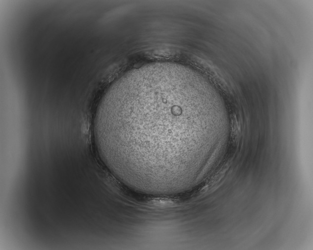 X0000102280749200808081502