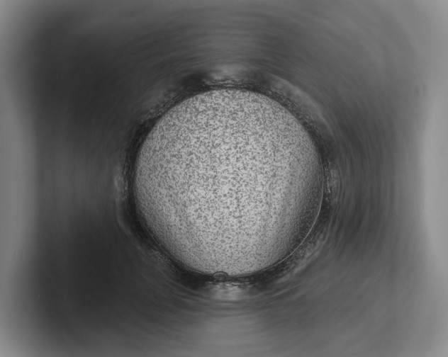 X0000102280751200808081502