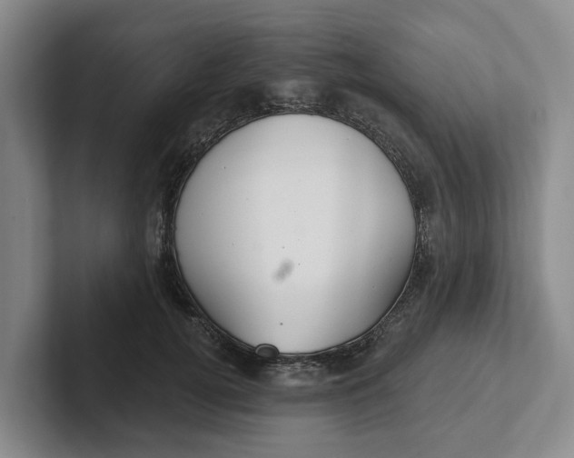 X0000102280752200808081502