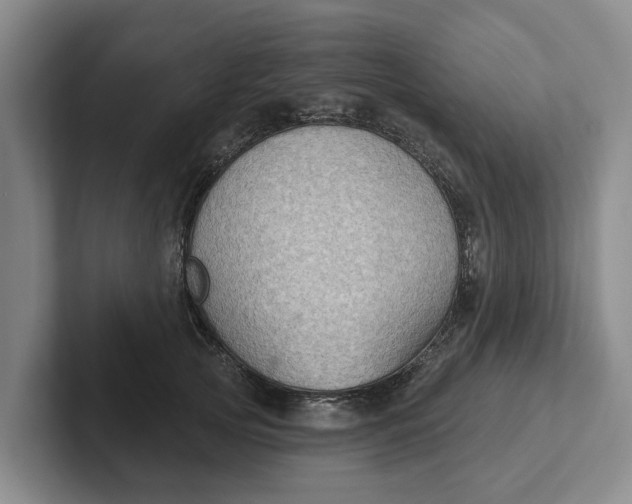 X0000102280753200808081502