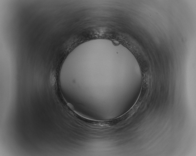 X0000102280754200808081502