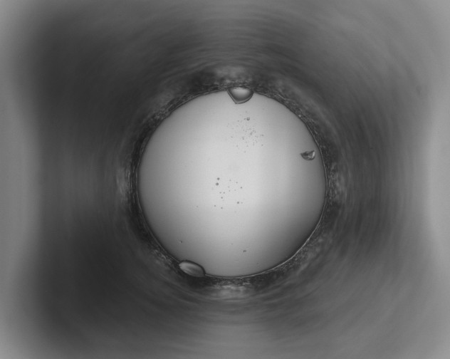 X0000102280756200808081502