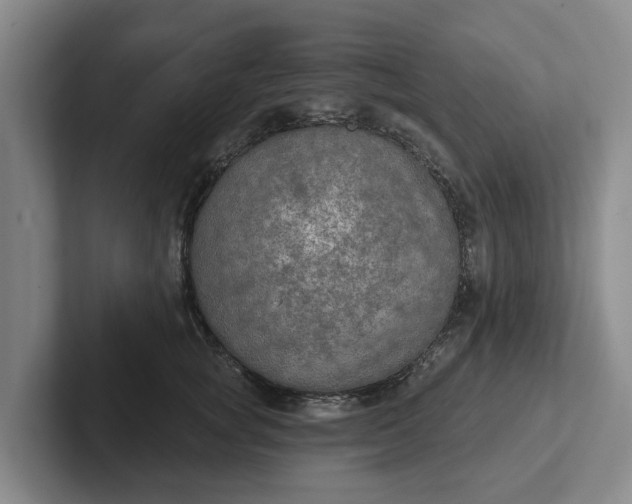 X0000102280757200808081502