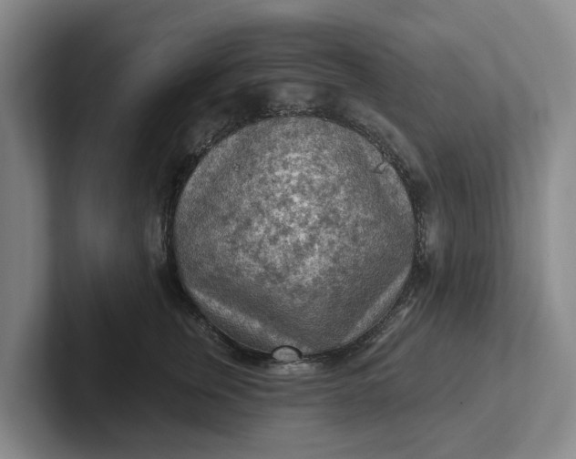 X0000102280759200808081502