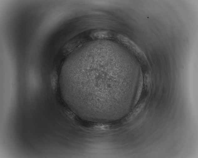 X0000102280760200808081502