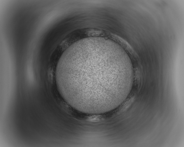 X0000102280761200808081502