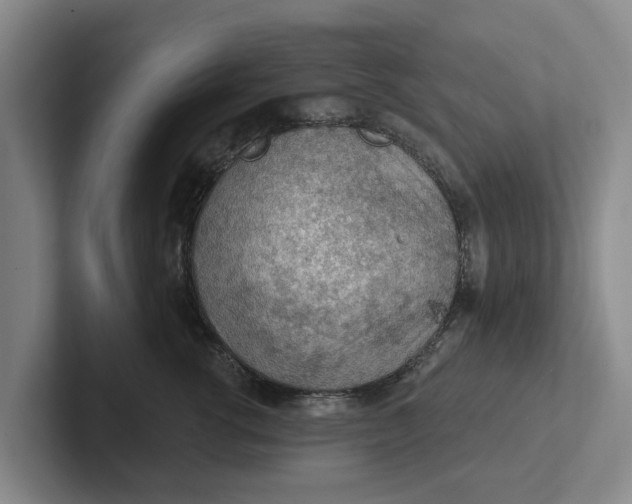 X0000102280762200808081502