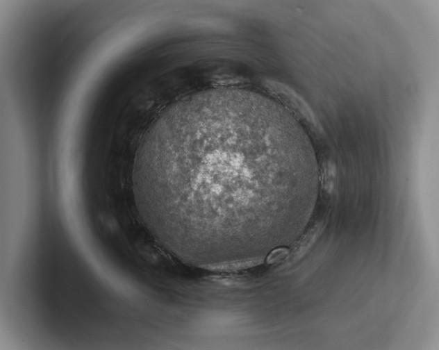 X0000102280763200808081502