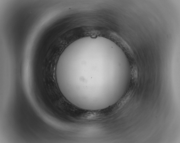 X0000102280764200808081502