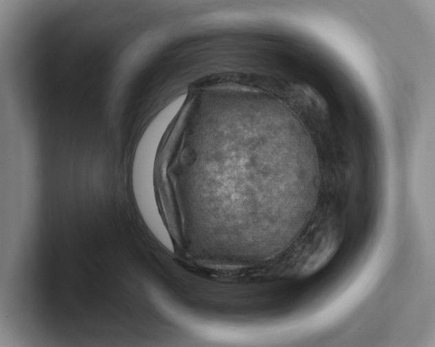 X0000102280766200808081502