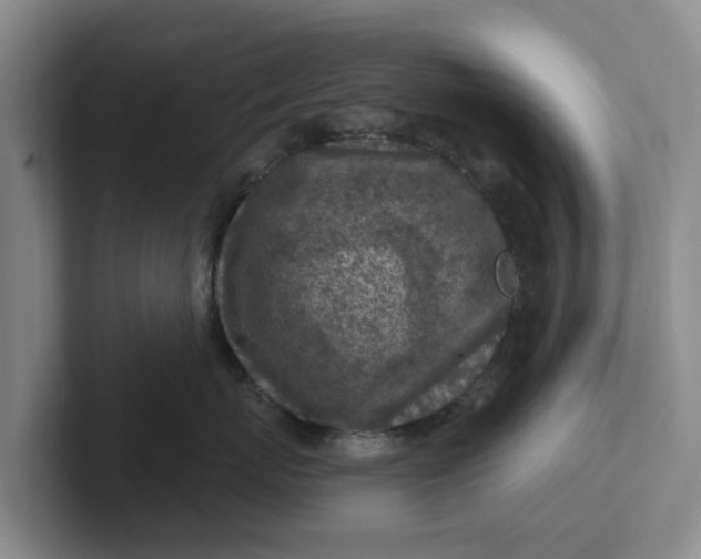 X0000102280767200808081502