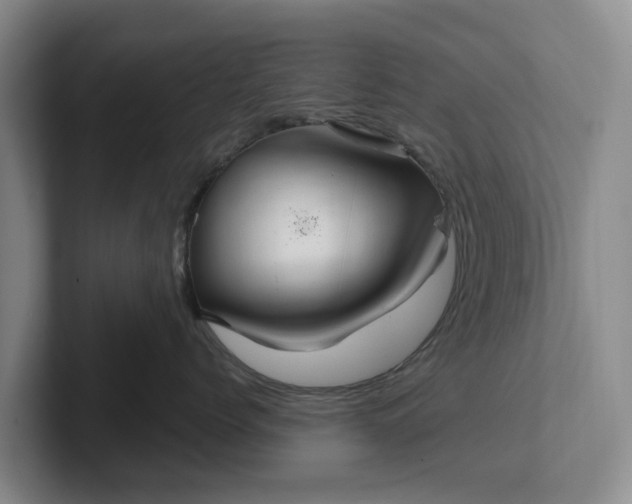 X0000102280768200808081502