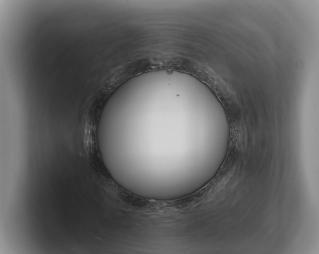 X0000102280770200808081501