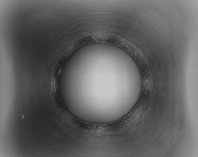 X0000102280772200808081501