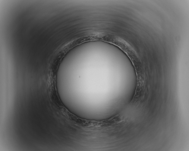 X0000102280773200808081501