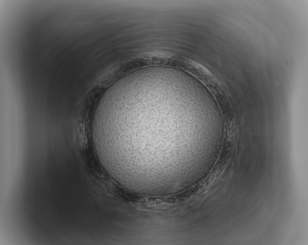 X0000102280774200808081501