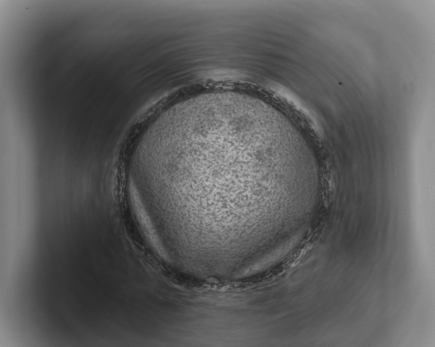 X0000102280775200808081501