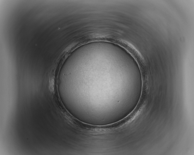 X0000102280777200808081501