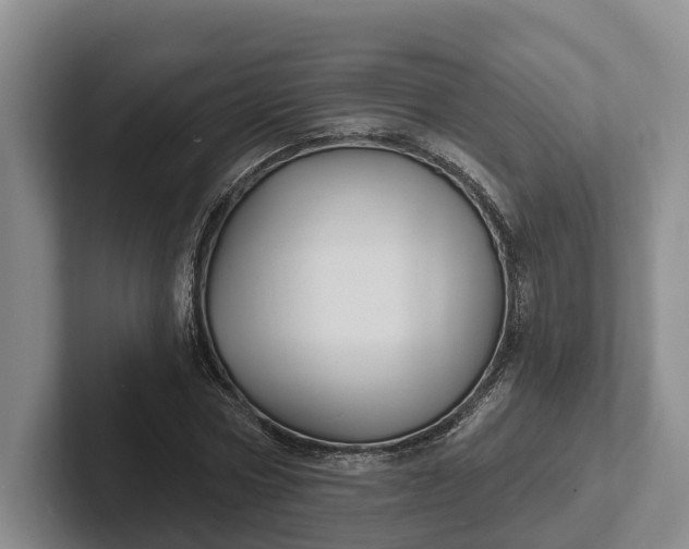 X0000102280778200808081501