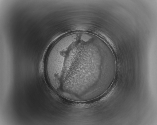 X0000102280779200808081501