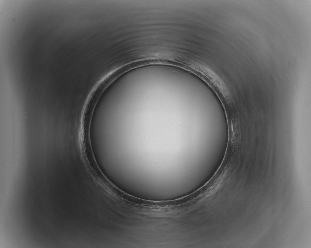 X0000102280780200808081501