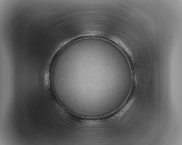 X0000102280781200808081501