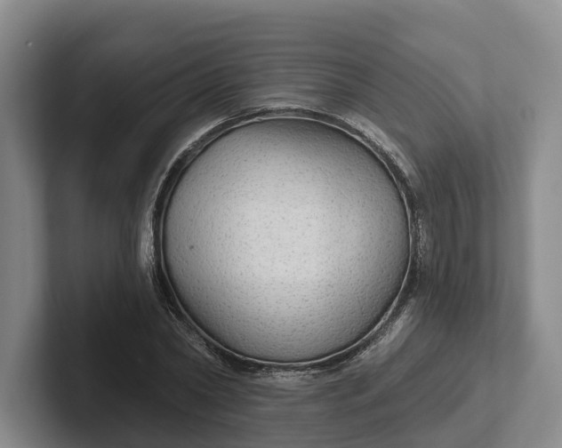 X0000102280782200808081501