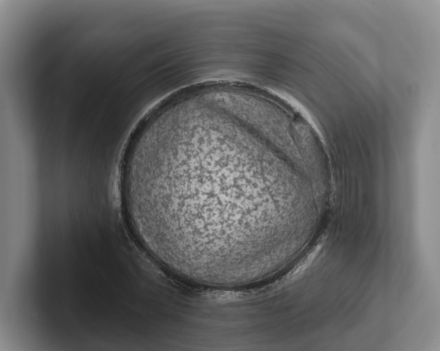 X0000102280783200808081501