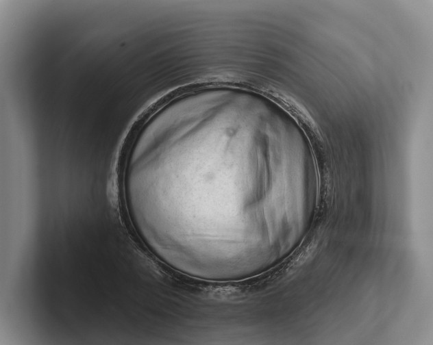 X0000102280784200808081501