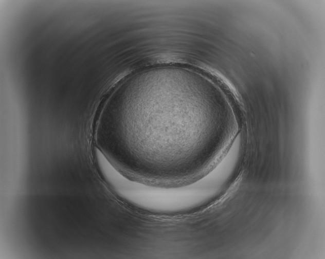 X0000102280785200808081501