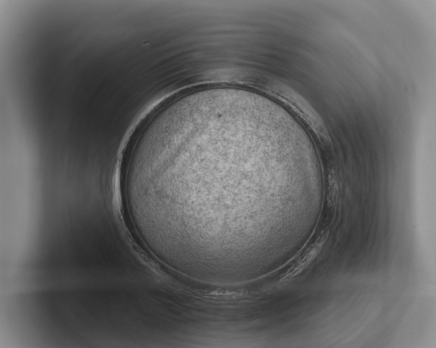 X0000102280788200808081501