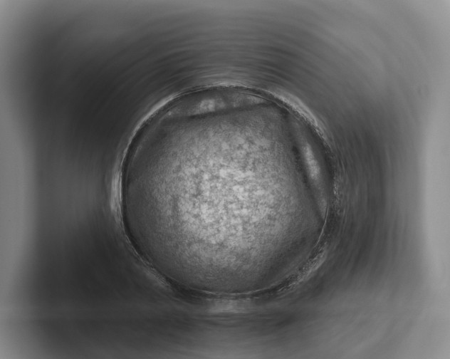 X0000102280790200808081501