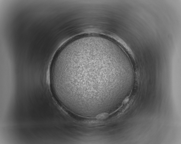 X0000102280791200808081501