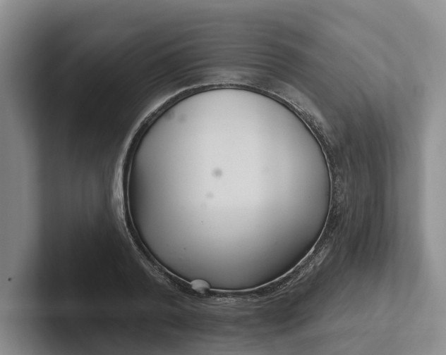 X0000102280792200808081501