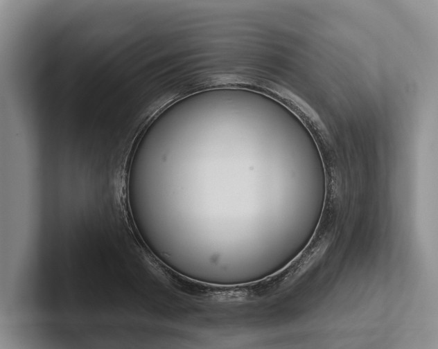 X0000102280793200808081501