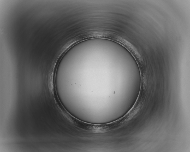 X0000102280794200808081501