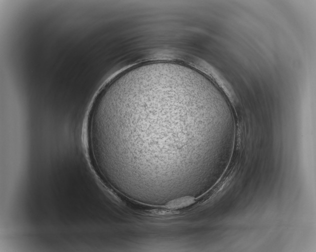 X0000102280795200808081501